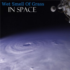 chill34-09-Wet_Smell_Of_Grass_-_In_Space-front